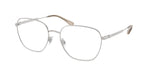 9423 - Brushed Silver / Demo Lens