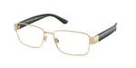 9211 - Brushed Pale Gold / Demo Lens