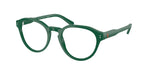 6141 - Shiny Dark Green / Demo Lens