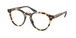 5004 - Shiny Tortoise Brown / Transparent