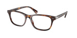 6137 - Shiny Brown Tortoise / Transparent