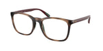 6208 - Shiny Dark Havana / Transparent