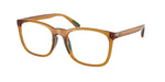 6209 - Shiny Transparent Honey Brown / Transparent
