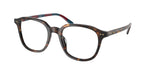6213 - Shiny Dark Havana / Demo Lens