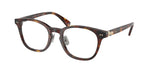 6137 - Shiny Brown Tortoise / Demo Lens