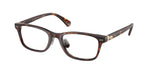 6137 - Shiny Brown Tortoise / Demo Lens