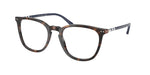 5003 - Shiny Havana / Demo Lens