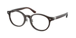 6282 - Shiny Transparent Brown / Demo Lens