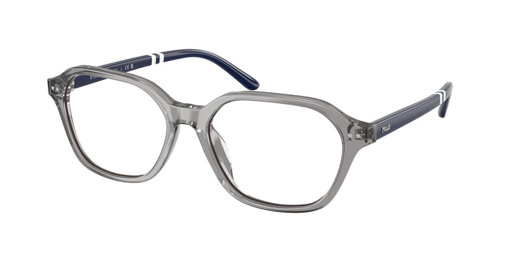 6318 - Shiny Transparent Grey / Demo Lens