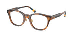 5003 - Shiny Dark Havana / Demo Lens