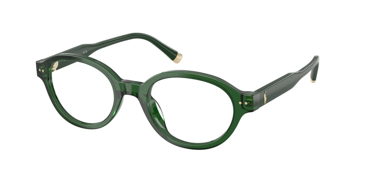 6361 - Shiny Transparent Dark Green / Demo Lens