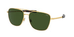 941171 - Shiny Gold / Bottle Green