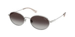 90018G - Shiny Silver / Gradient Grey