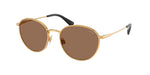 940273 - Shiny Brass / Dark Brown