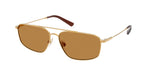 932493 - Shiny Brass / Light Brown