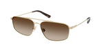 939313 - Shiny Pale Gold / Brown Gradient Dark Brown