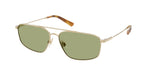 942582 - Shiny Pale Gold / Green