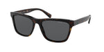 500381 - Shiny Dark Havana / Polarized Grey