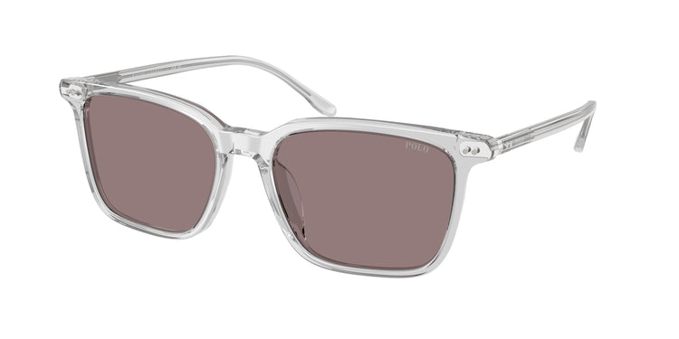 59587N - Shiny Transparent Grey / Dark Purple