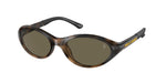 5003/3 - Shiny Havana / Brown