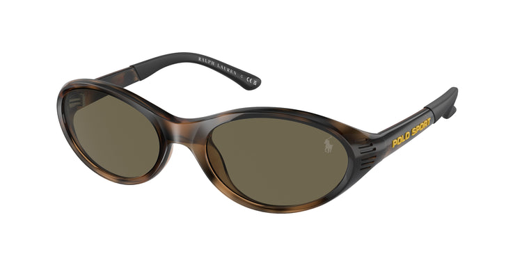 5003/3 - Shiny Havana / Brown