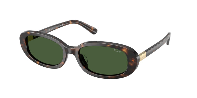 500371 - Shiny Dark Havana / Bottle Green