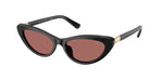 500169 - Shiny Black / Dark Violet