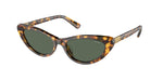 607871 - Shiny Havana / Dark Green