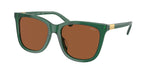 619573 - Shiny Transparent Green / Brown