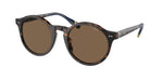 500373 - Shiny Dark Havana / Brown