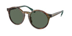 501771 - Shiny Brown Tortoise / Bottle Green