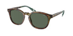 501771 - Shiny Brown Tortoise / Bottle Green