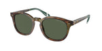 50179A - Shiny Brown Tortoise / Green