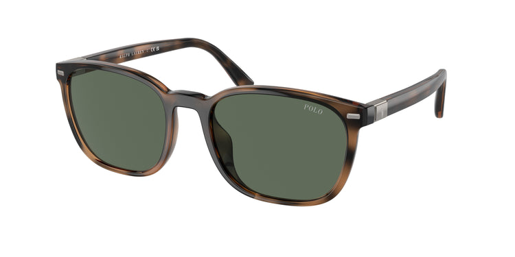 597471 - Shiny Havana / Bottle Green