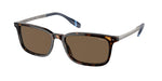 500373 - Shiny Dark Havana / Brown