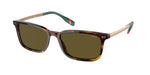 613773 - Shiny Brown Tortoise / Olive Green