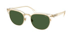 635771 - Shiny Transparent Light Yellow / Dark Green