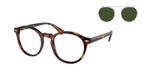 613771 - Shiny Brown Tortoise / Bottle Green