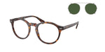 623371 - Shiny Brown Tortoise / Bottle Green
