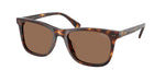613773 - Shiny Brown Tortoise / Dark Brown