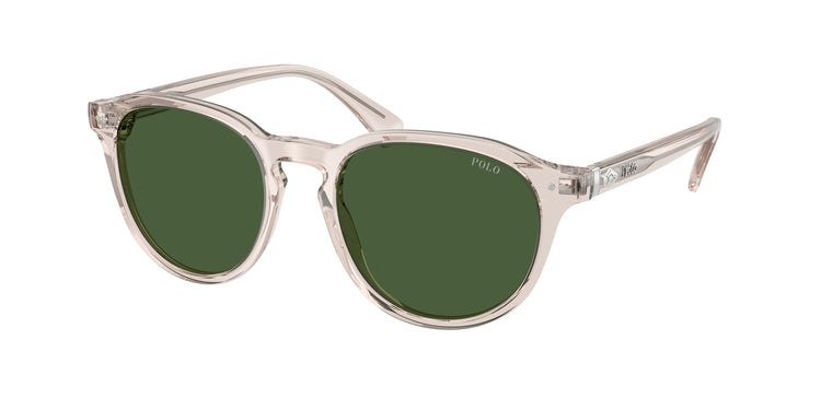611771 - Shiny Transparent Light Taupe / Bottle Green