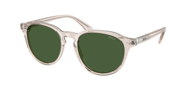 611771 - Shiny Transparent Light Taupe / Bottle Green