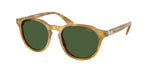 618571 - Shiny Tortoise Light Brown / Bottle Green