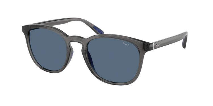 579980 - Shiny Transparent Grey / Dark Blue