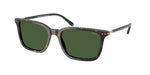 567371 - Shiny Dark Havana / Bottle Green