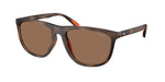 597473 - Matte Dark Havana / Dark Brown