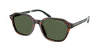 63159A - Shiny Havana / Polar Green