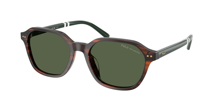 63159A - Shiny Havana / Polarized Green