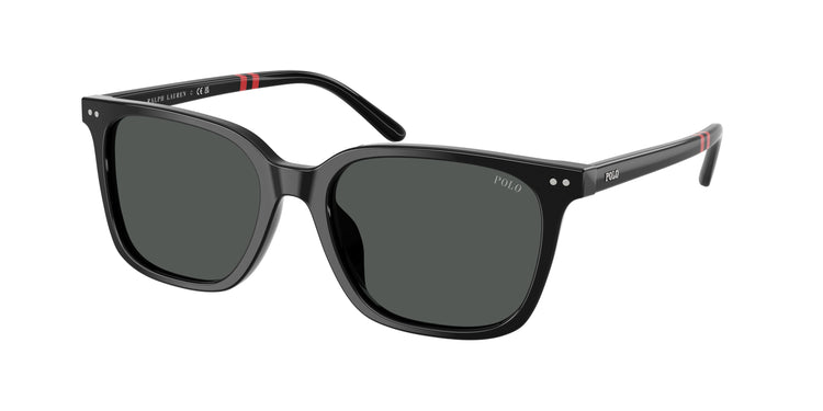 500187 - Shiny Black / Dark Grey