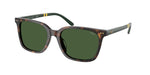 500371 - Shiny Dark Havana / Bottle Green